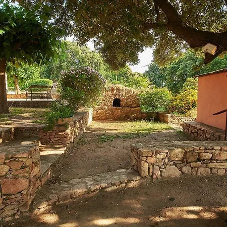 Ferienhaus Maison Le Prunier Avec Piscine Cuttoli-Corticchiato